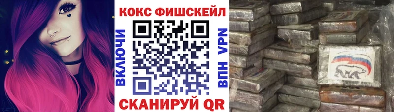 Кокаин Fish Scale  дарнет шоп  Шилка 