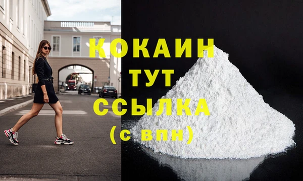 винт Абаза