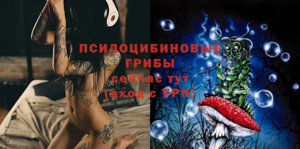 винт Абаза