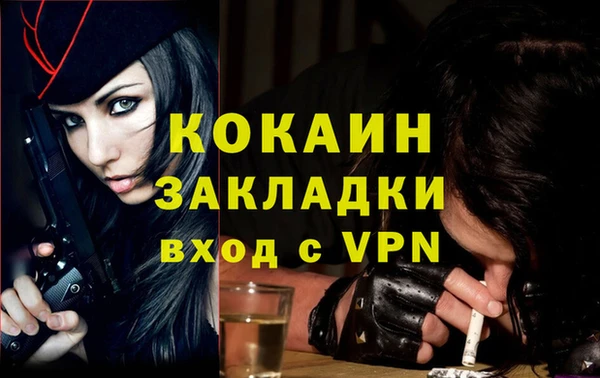 винт Абаза