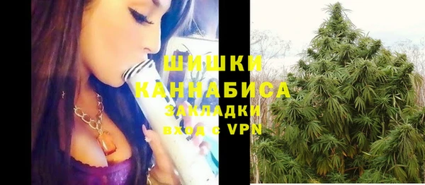 винт Абаза