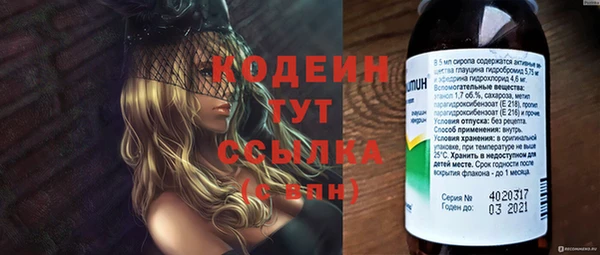 винт Абаза