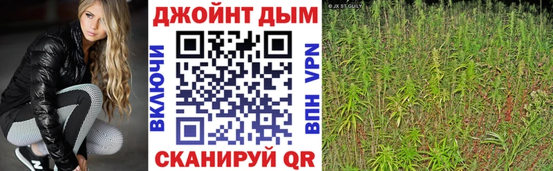 Бошки марихуана ГИДРОПОН  Шилка 